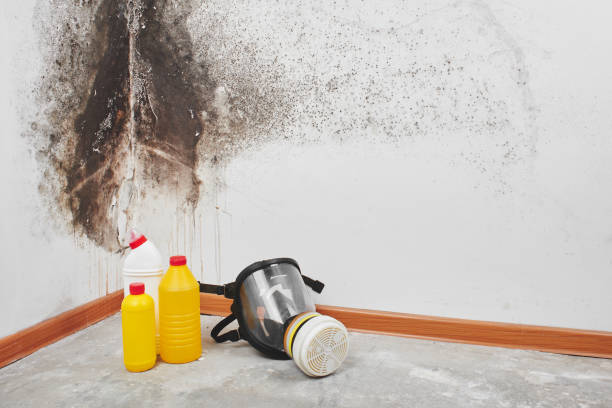 Best Industrial Mold Remediation in Wenatchee, WA