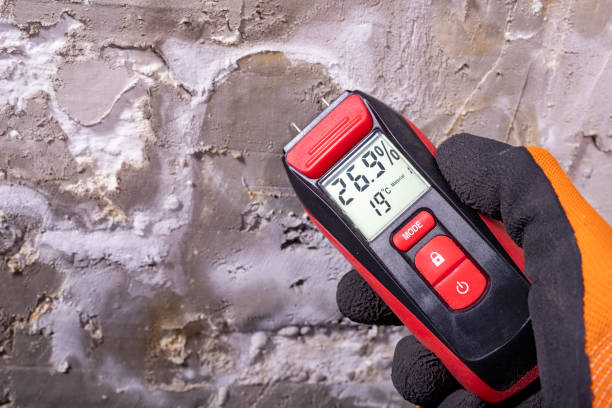 Best Residential Mold Remediation in Wenatchee, WA