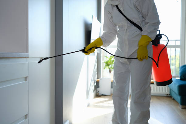 Best Residential Mold Remediation in Wenatchee, WA