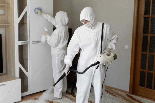 Best Basement Mold Remediation in Wenatchee, WA